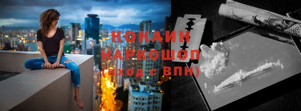 гашик Арсеньев