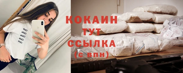 гашик Арсеньев