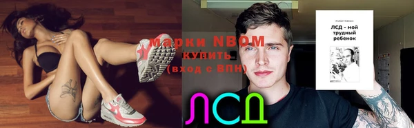 дживик Аркадак