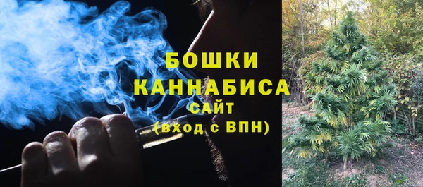 дживик Аркадак