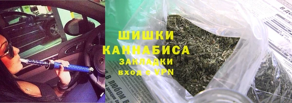 гашик Арсеньев