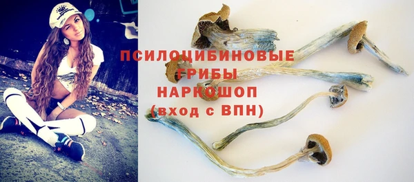 гашик Арсеньев