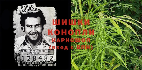 гашик Арсеньев